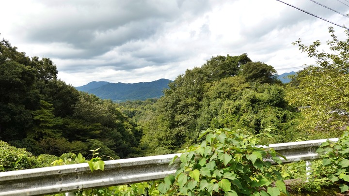 BROMPTON旅 天橋立 城崎 (6)