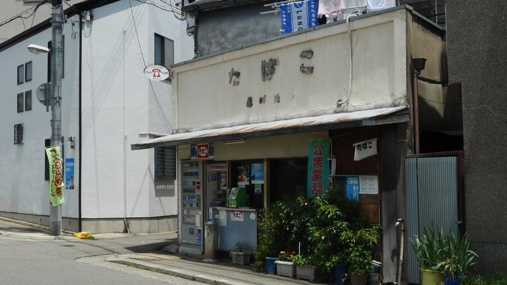 イメージ 13