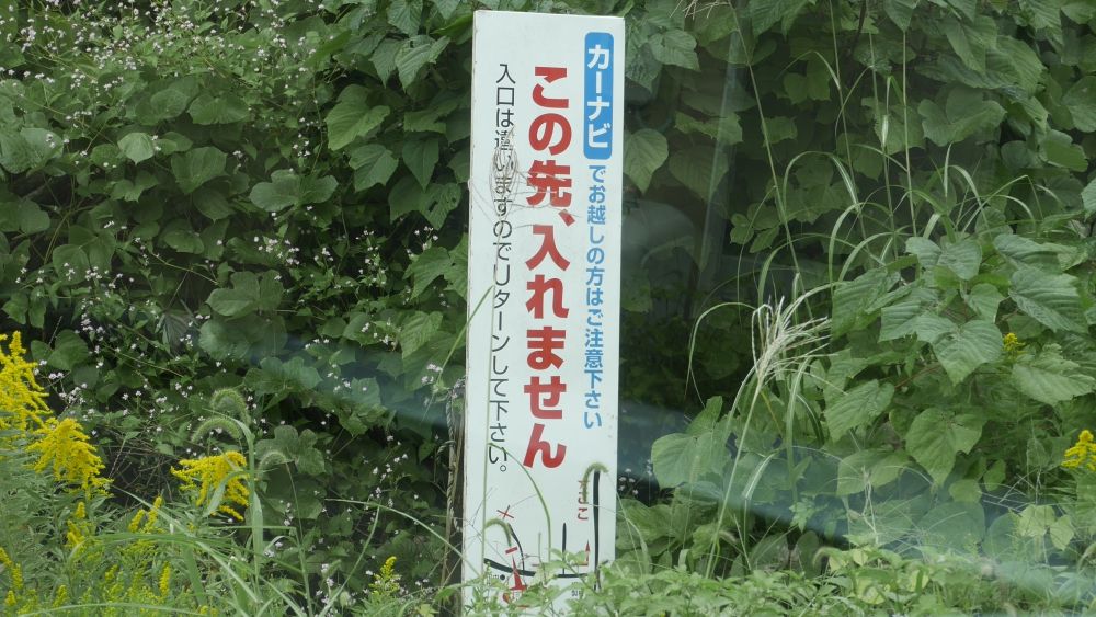イメージ 6