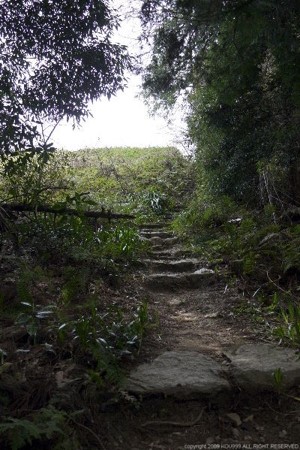 画像59