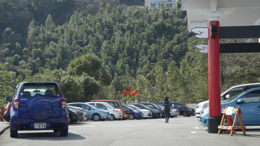 イメージ 10