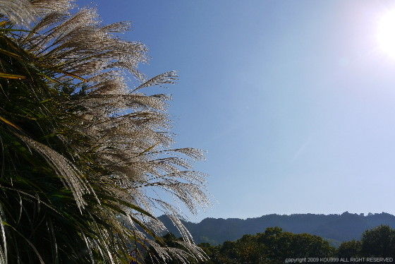 https://livedoor.blogimg.jp/route999kou/imgs/9/3/93ac5dda.jpg
