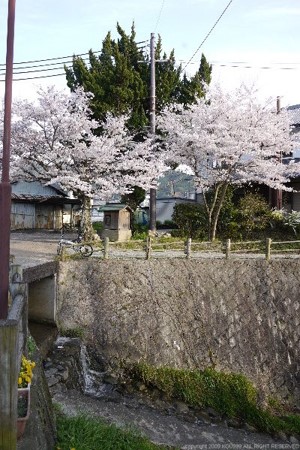 画像68
