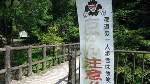 イメージ 14