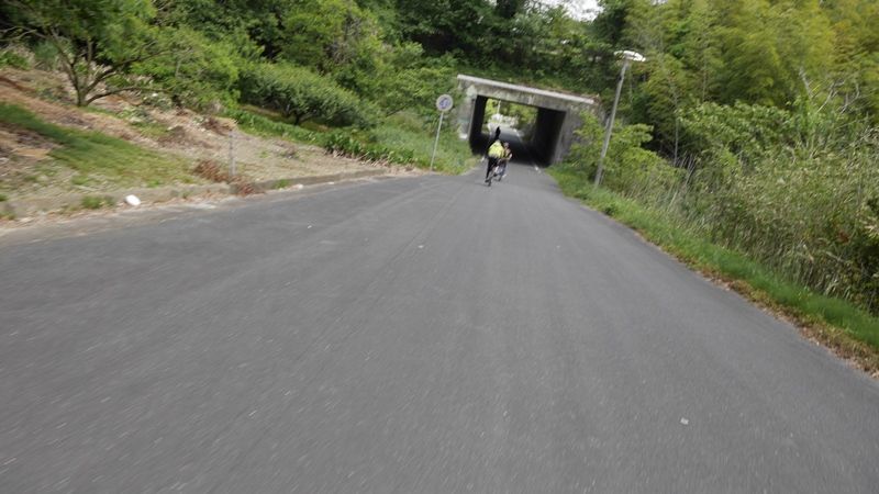 イメージ 12