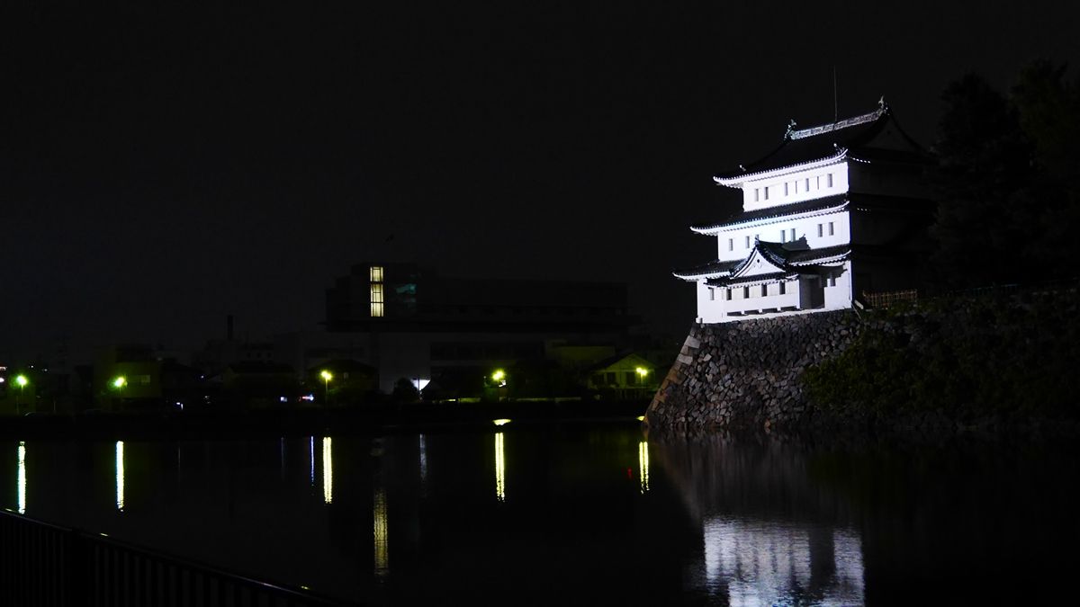 イメージ 7