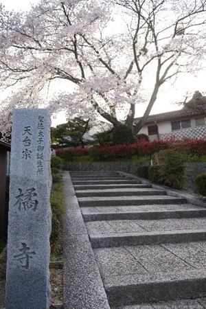 画像69