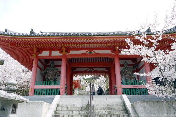 https://livedoor.blogimg.jp/route999kou/imgs/a/d/ad97c32f.jpg