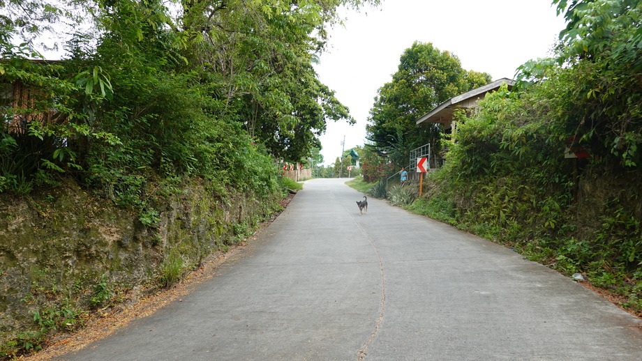 DSC01646
