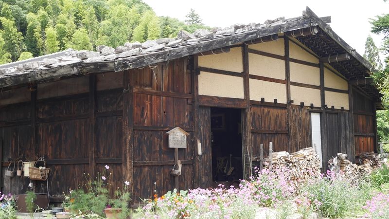 イメージ 5
