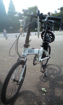 イメージ 15
