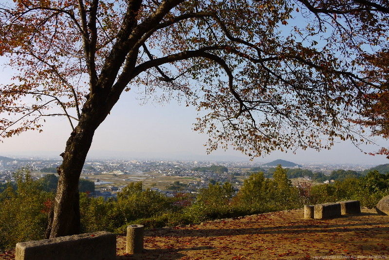 https://livedoor.blogimg.jp/route999kou/imgs/b/4/b4e01b55.jpg