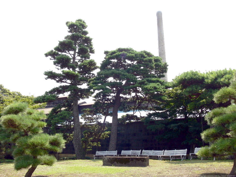 イメージ 15