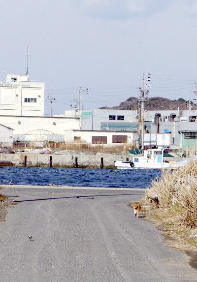 イメージ 13