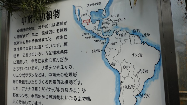 DSC02044