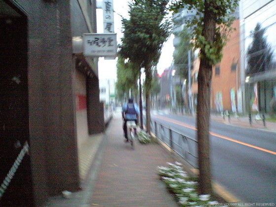イメージ 6