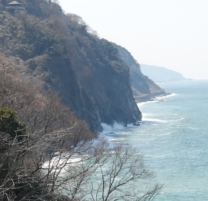 DSC00994_2