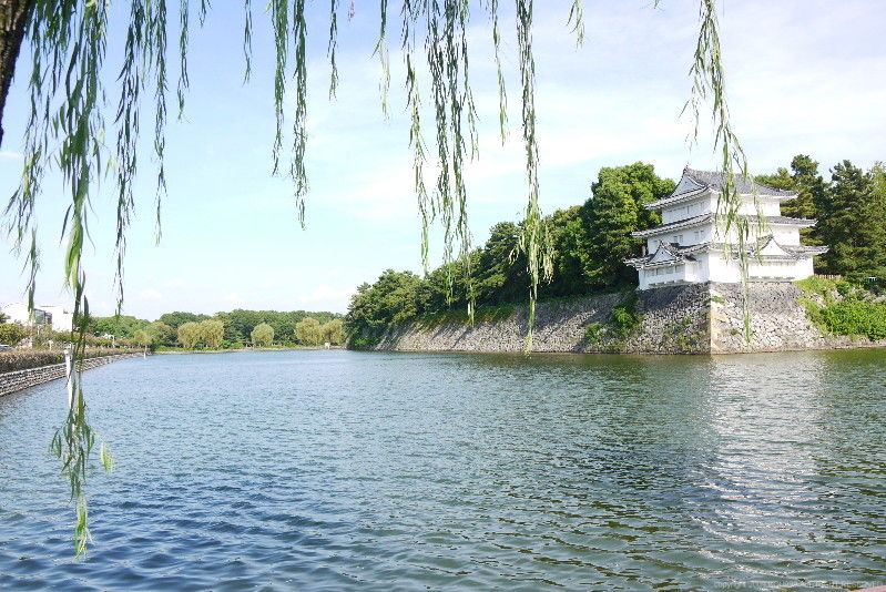 イメージ 10