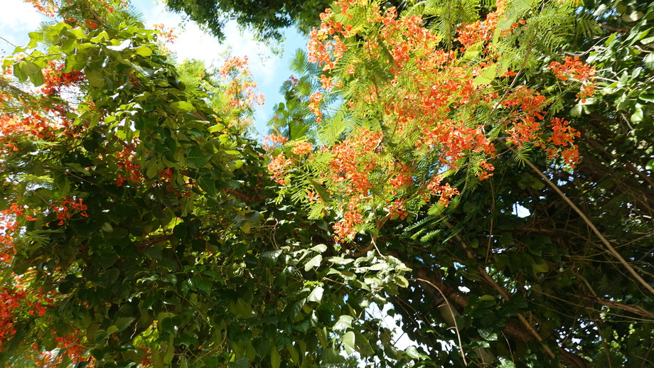 DSC01475