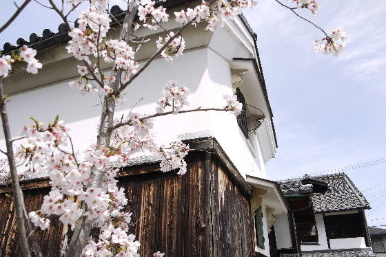 https://livedoor.blogimg.jp/route999kou/imgs/d/0/d07cbbfe.jpg
