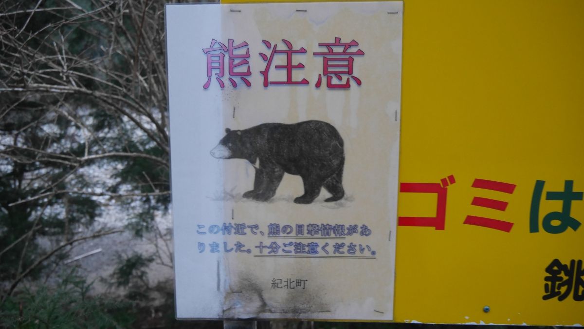 イメージ 5