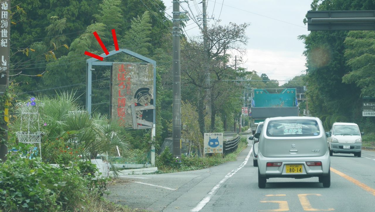 イメージ 5