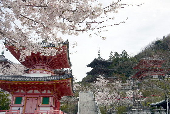 https://livedoor.blogimg.jp/route999kou/imgs/d/7/d766c0f3.jpg
