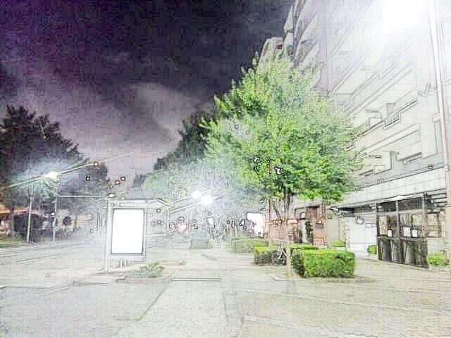 イメージ 22