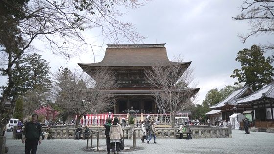 イメージ 13