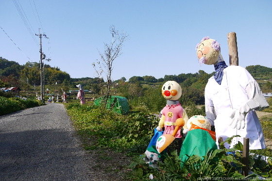 https://livedoor.blogimg.jp/route999kou/imgs/e/a/ea65cd60.jpg