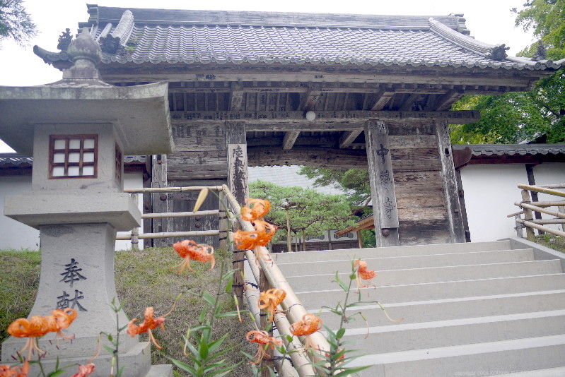 イメージ 13