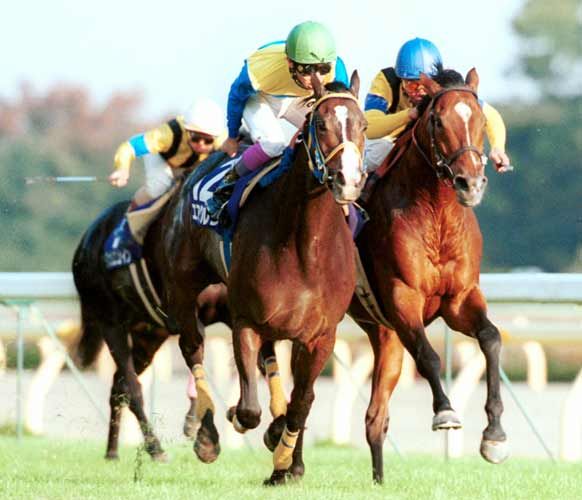 素人　牝 名牝エアグルーヴが出産後に死す・・・ : ど素人です。の『馬噺』