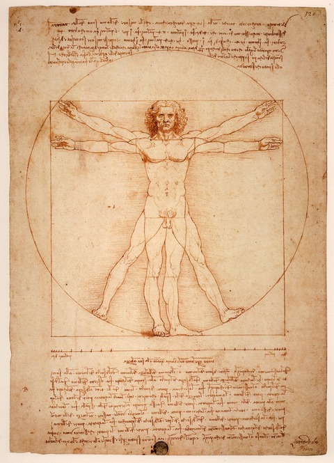 leonardo-da-vinci-1125056_1280.jpgダビンチ