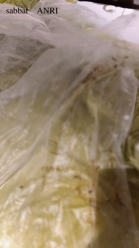 FD2799A5-85CB-4DAC-8D8C-38BD145F0D4E