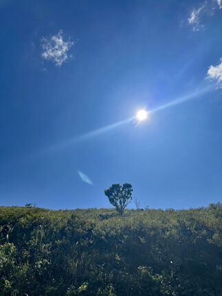 IMG_0838s