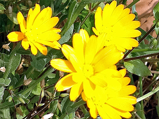 0761e619.jpg