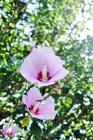 _DSC0367s