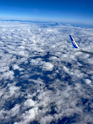 IMG_1186s