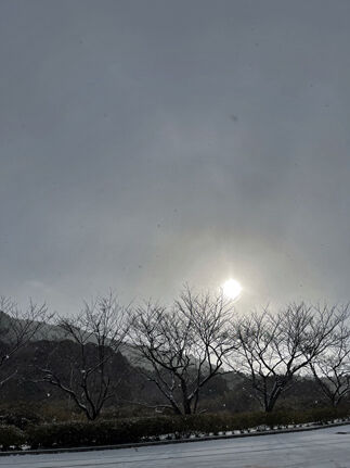 IMG_8383s