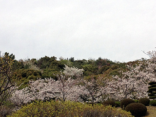 801b8745.jpg