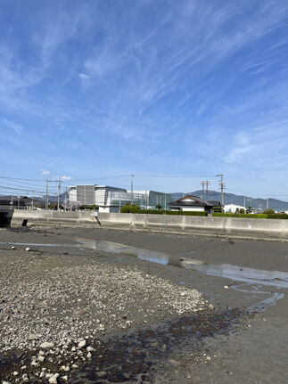 IMG_2633s