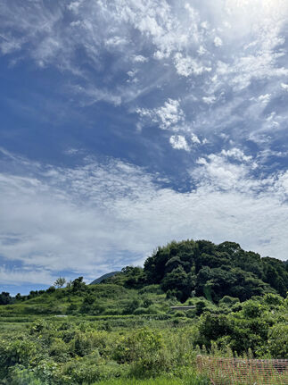 IMG_8744s