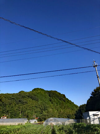 IMG_8860s