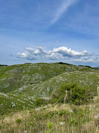 IMG_7281s