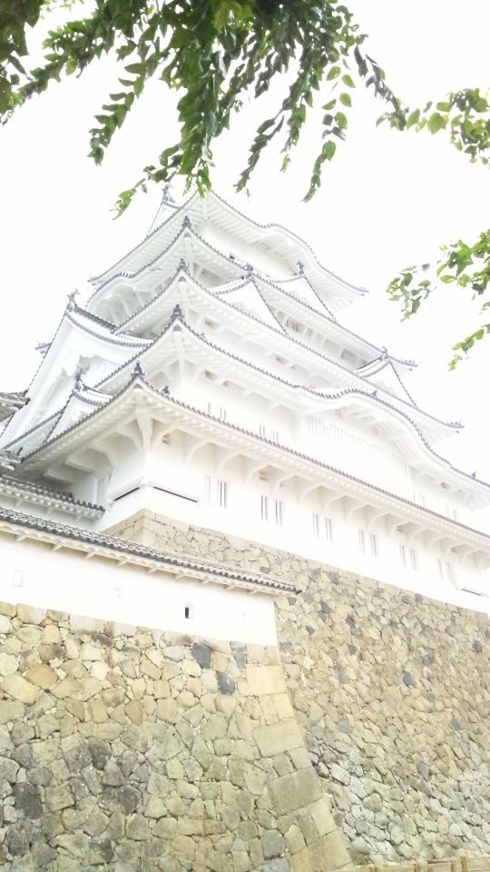 イメージ 1