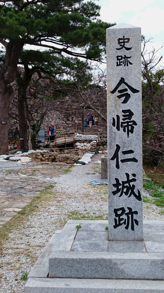 イメージ 7