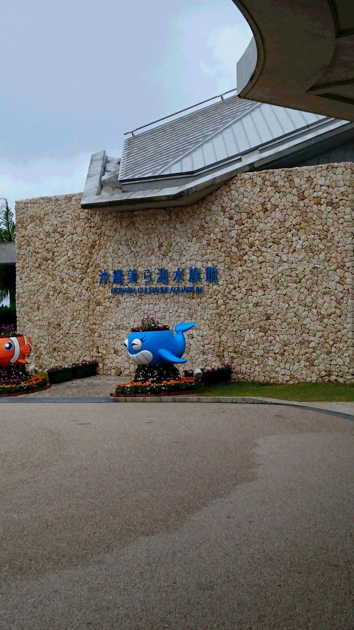 イメージ 11