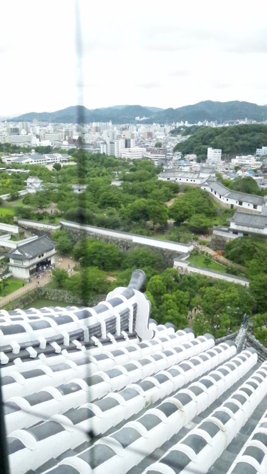 イメージ 3