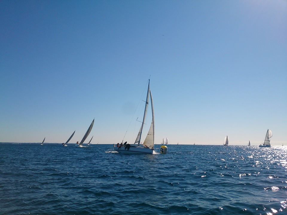 湘南レースが変わりました 今日のシーボニアマリーナ