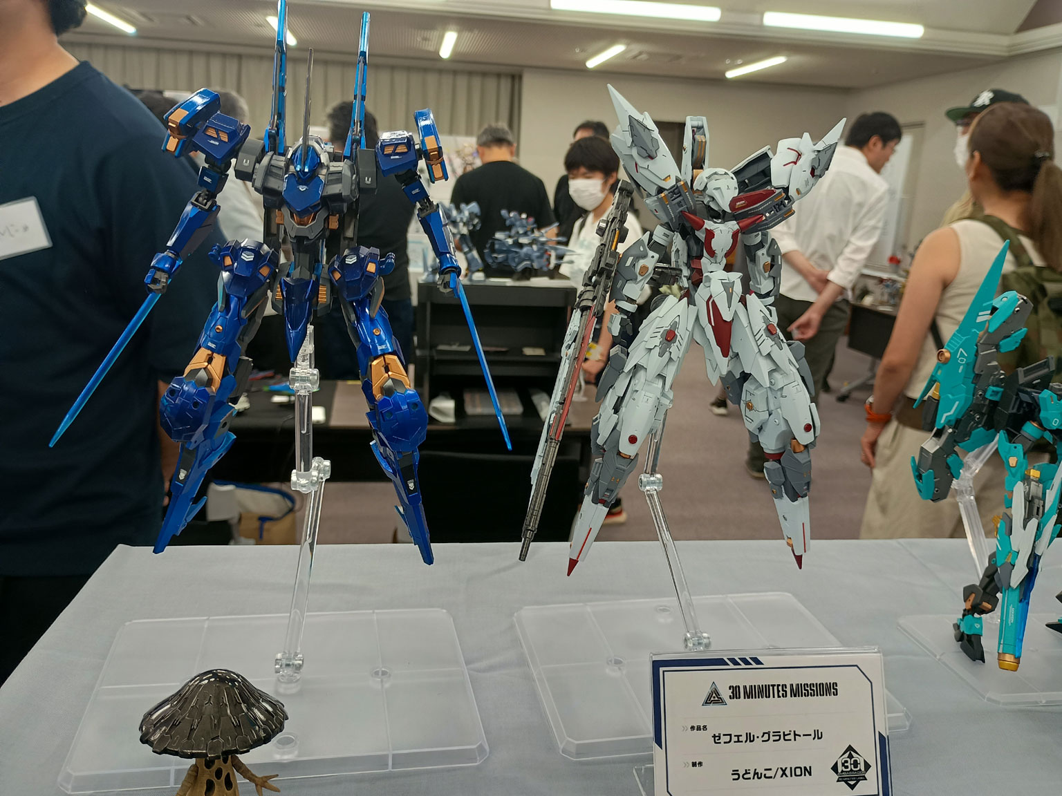 20260811D01